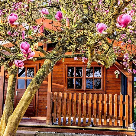 Am Wutzsee Mit Direktem Seezugang *