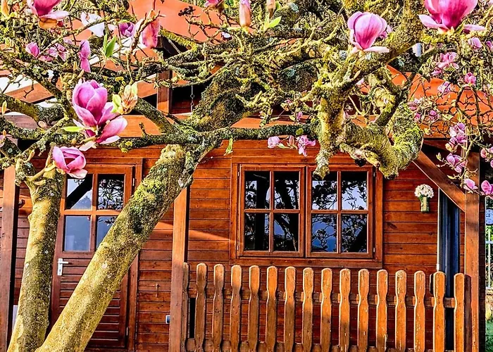 Am Wutzsee Mit Direktem Seezugang *